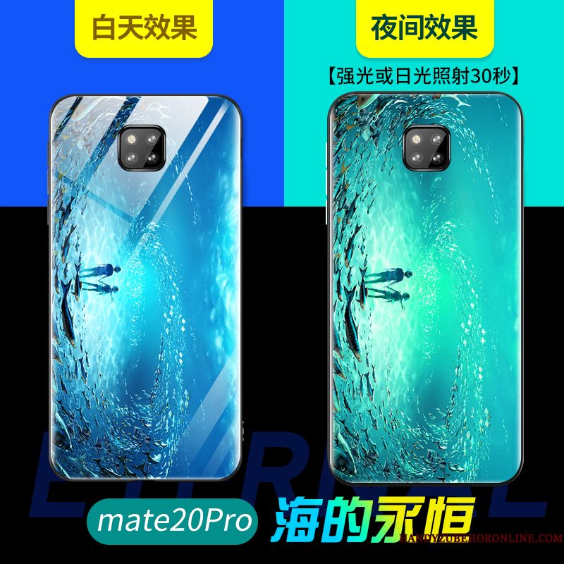 Hoesje Huawei Mate 20 Pro Bescherming Lichtende Persoonlijk, Hoes Huawei Mate 20 Pro Zacht Glastelefoon