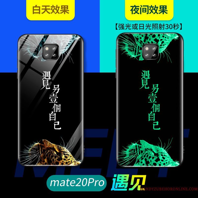 Hoesje Huawei Mate 20 Pro Bescherming Lichtende Persoonlijk, Hoes Huawei Mate 20 Pro Zacht Glastelefoon