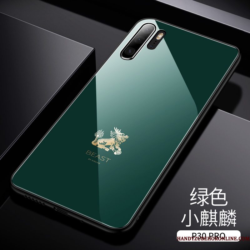 Hoesje Huawei P30 Pro Luxe Chinese Stijl High End, Hoes Huawei P30 Pro Zakken Trendy Merk Achterklep