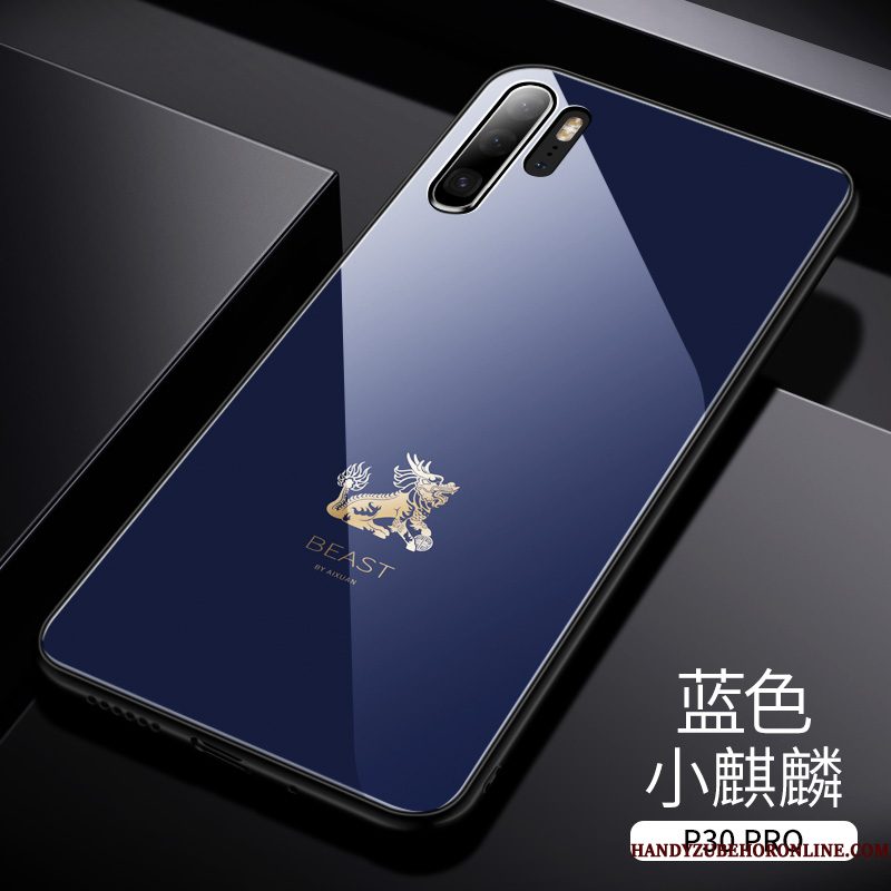 Hoesje Huawei P30 Pro Luxe Chinese Stijl High End, Hoes Huawei P30 Pro Zakken Trendy Merk Achterklep