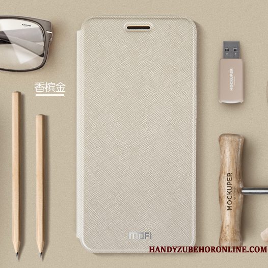 Hoesje Huawei Y6 2019 Zakken Anti-falltelefoon, Hoes Huawei Y6 2019 Folio Goud Schrobben