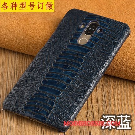 Hoesje Samsung Galaxy A8+ Vintage Licht Hard, Hoes Samsung Galaxy A8+ Leer Telefoon Persoonlijk