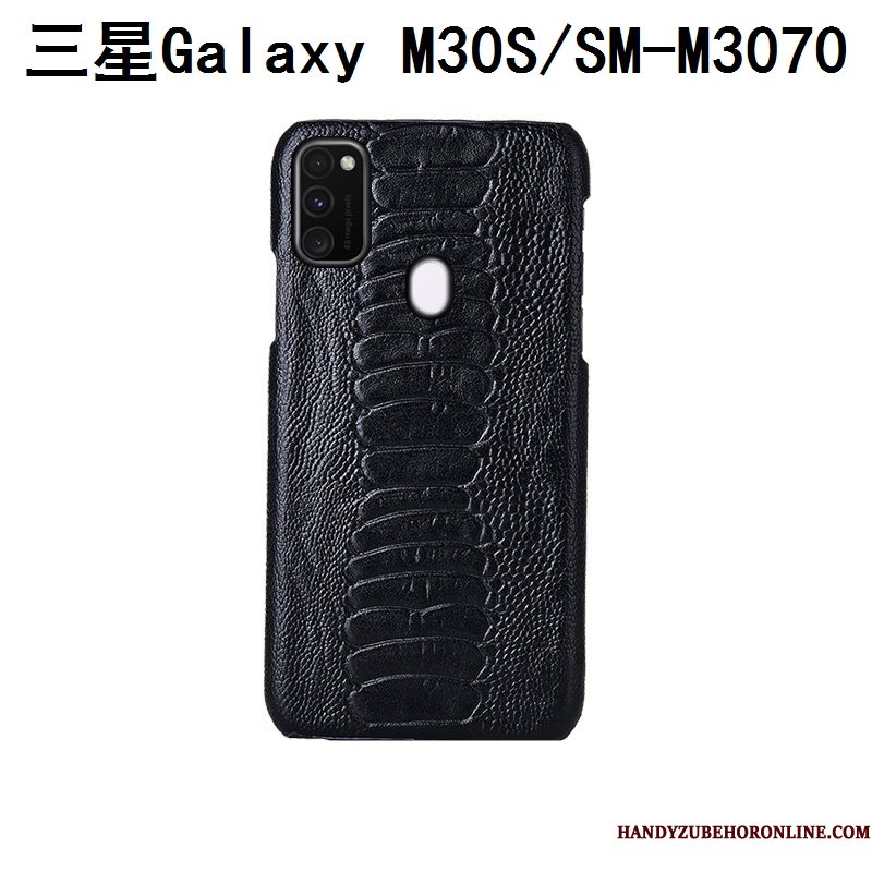 Hoesje Samsung Galaxy M30s Bescherming Achterklep Anti-fall, Hoes Samsung Galaxy M30s Mode Vogeltelefoon