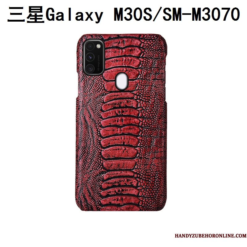 Hoesje Samsung Galaxy M30s Bescherming Achterklep Anti-fall, Hoes Samsung Galaxy M30s Mode Vogeltelefoon