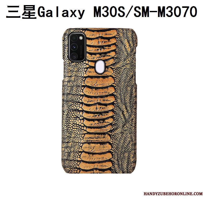 Hoesje Samsung Galaxy M30s Bescherming Achterklep Anti-fall, Hoes Samsung Galaxy M30s Mode Vogeltelefoon