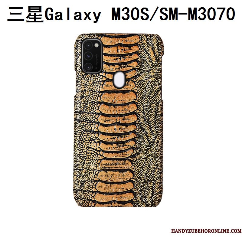 Hoesje Samsung Galaxy M30s Bescherming Achterklep Anti-fall, Hoes Samsung Galaxy M30s Mode Vogeltelefoon