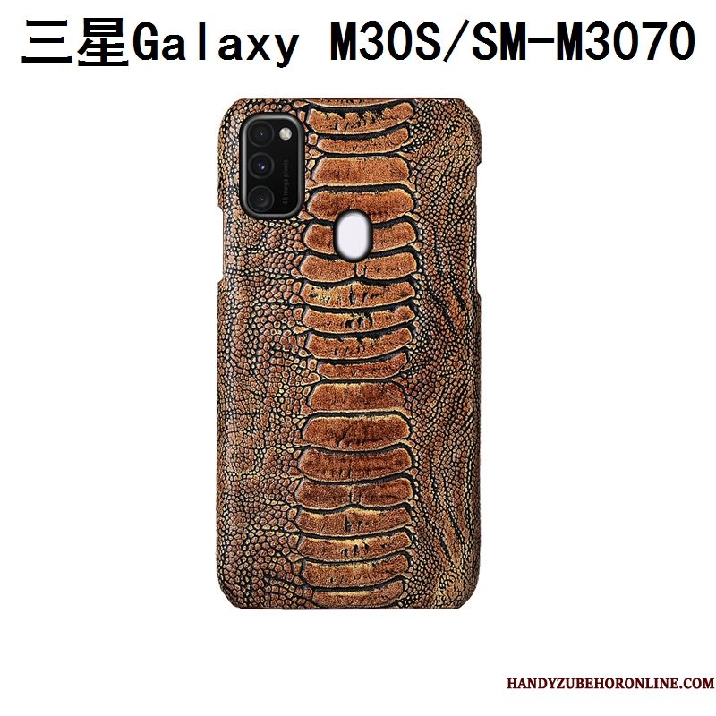 Hoesje Samsung Galaxy M30s Bescherming Achterklep Anti-fall, Hoes Samsung Galaxy M30s Mode Vogeltelefoon