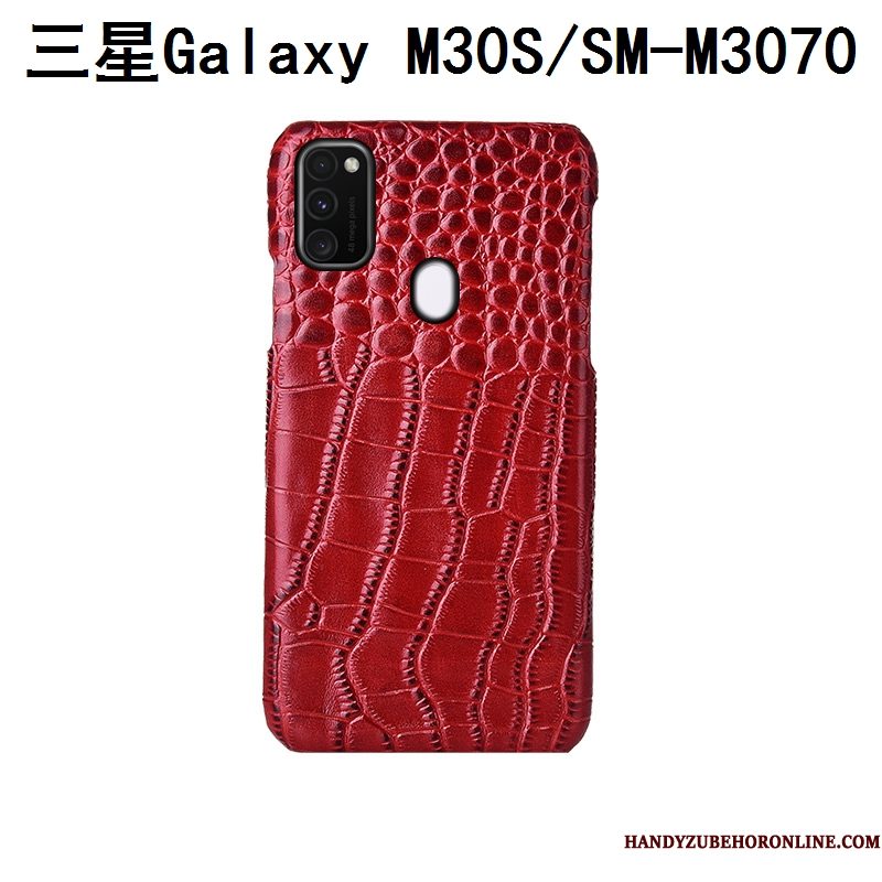 Hoesje Samsung Galaxy M30s Luxe Pas Achterklep, Hoes Samsung Galaxy M30s Bescherming Vogeltelefoon