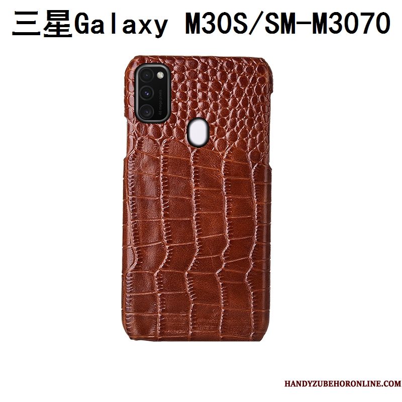 Hoesje Samsung Galaxy M30s Luxe Pas Achterklep, Hoes Samsung Galaxy M30s Bescherming Vogeltelefoon