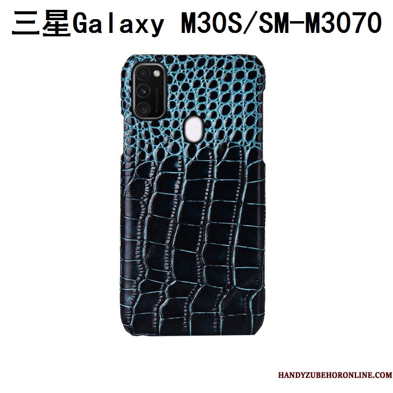 Hoesje Samsung Galaxy M30s Luxe Pas Achterklep, Hoes Samsung Galaxy M30s Bescherming Vogeltelefoon