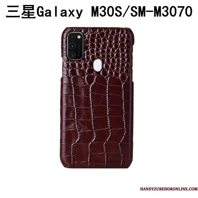 Hoesje Samsung Galaxy M30s Luxe Pas Achterklep, Hoes Samsung Galaxy M30s Bescherming Vogeltelefoon