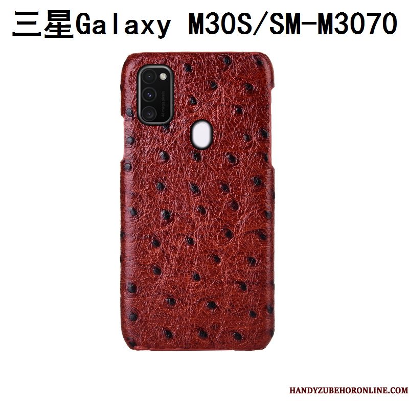 Hoesje Samsung Galaxy M30s Luxe Pas Patroon, Hoes Samsung Galaxy M30s Mode Achterklep Anti-fall