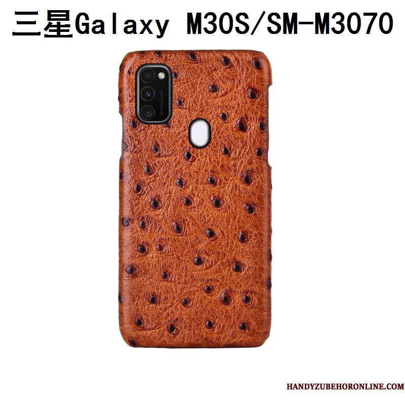 Hoesje Samsung Galaxy M30s Luxe Pas Patroon, Hoes Samsung Galaxy M30s Mode Achterklep Anti-fall