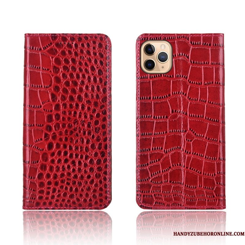 Hoesje iPhone 11 Pro Bescherming Krokodil Anti-fall, Hoes iPhone 11 Pro Folio Telefoon