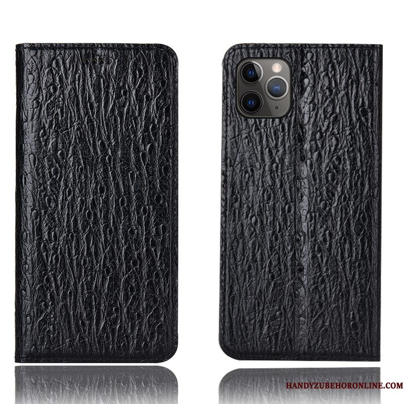 Hoesje iPhone 11 Pro Bescherming Telefoon Patroon, Hoes iPhone 11 Pro Folio Rood Vogel