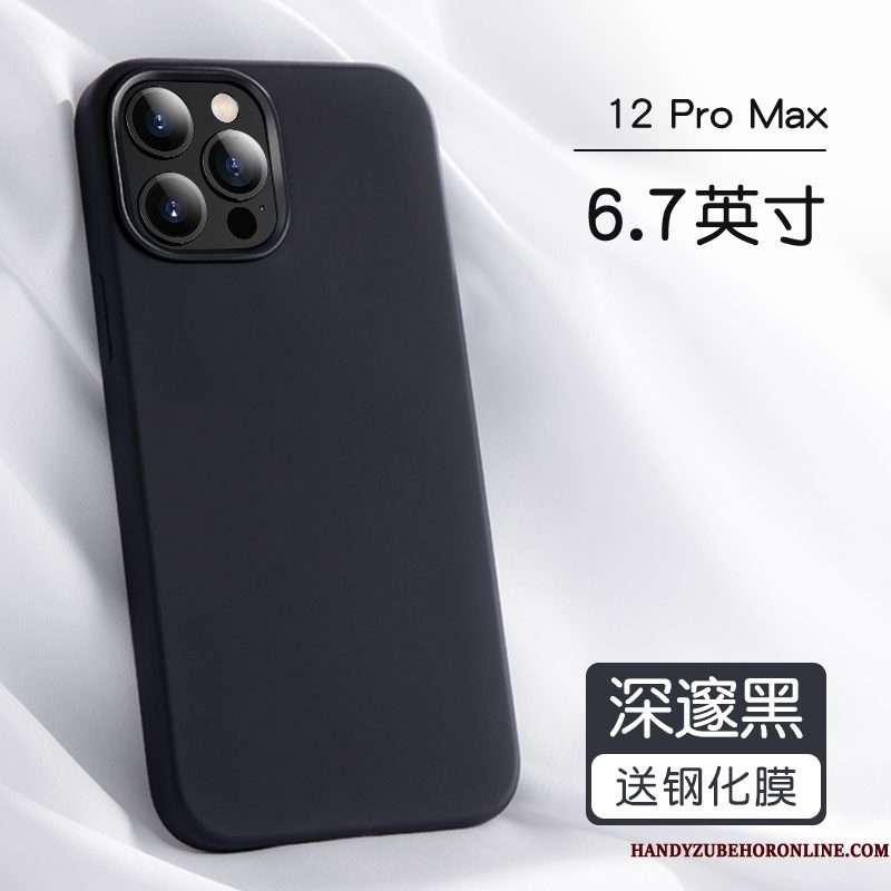 Hoesje iPhone 12 Pro Max Zakken Anti-fall Persoonlijk, Hoes iPhone 12 Pro Max Bescherming Net Red Blauw