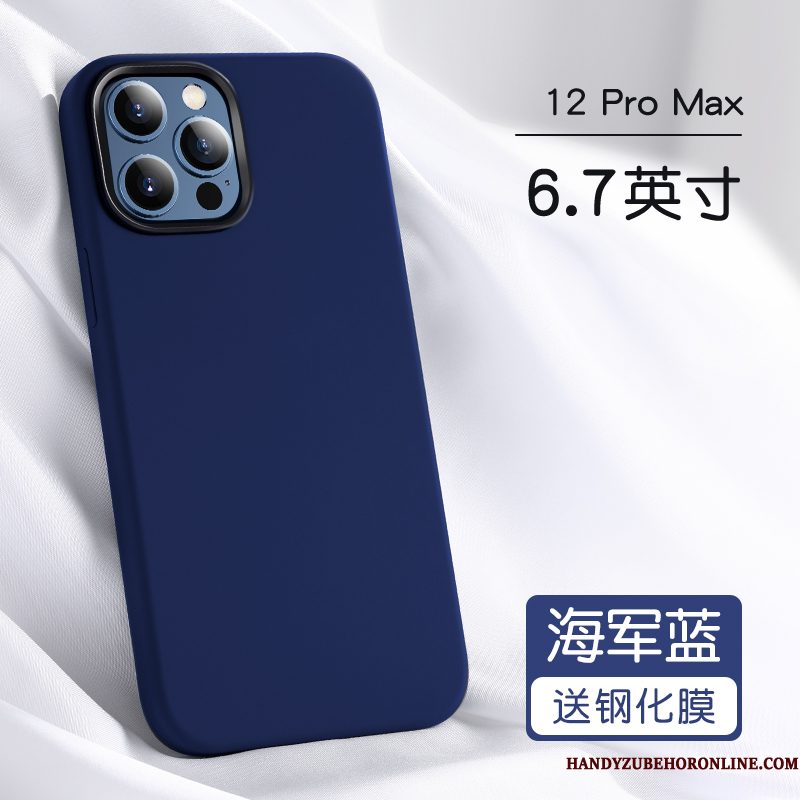 Hoesje iPhone 12 Pro Max Zakken Anti-fall Persoonlijk, Hoes iPhone 12 Pro Max Bescherming Net Red Blauw