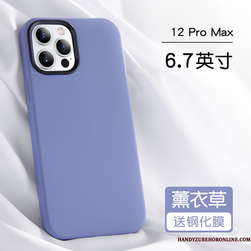 Hoesje iPhone 12 Pro Max Zakken Anti-fall Persoonlijk, Hoes iPhone 12 Pro Max Bescherming Net Red Blauw