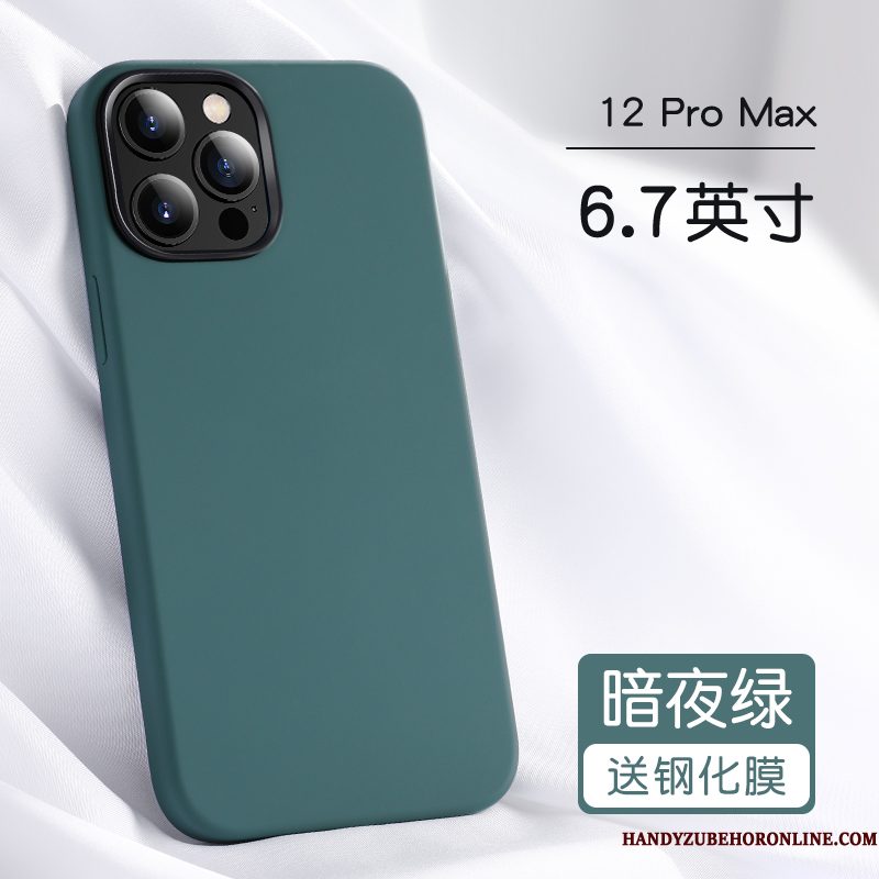 Hoesje iPhone 12 Pro Max Zakken Anti-fall Persoonlijk, Hoes iPhone 12 Pro Max Bescherming Net Red Blauw