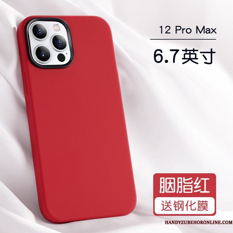 Hoesje iPhone 12 Pro Max Zakken Anti-fall Persoonlijk, Hoes iPhone 12 Pro Max Bescherming Net Red Blauw