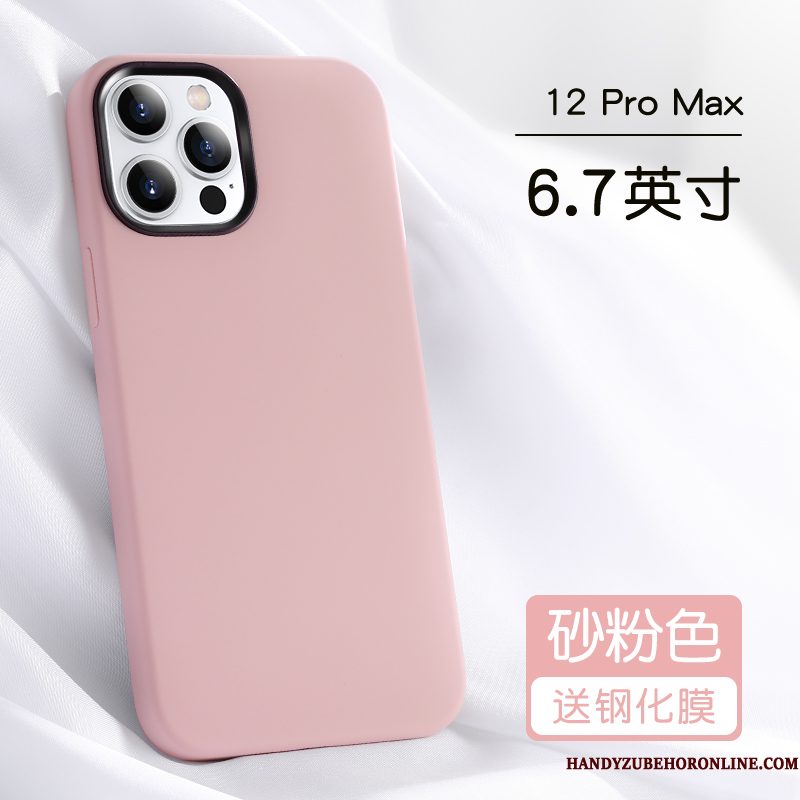 Hoesje iPhone 12 Pro Max Zakken Anti-fall Persoonlijk, Hoes iPhone 12 Pro Max Bescherming Net Red Blauw