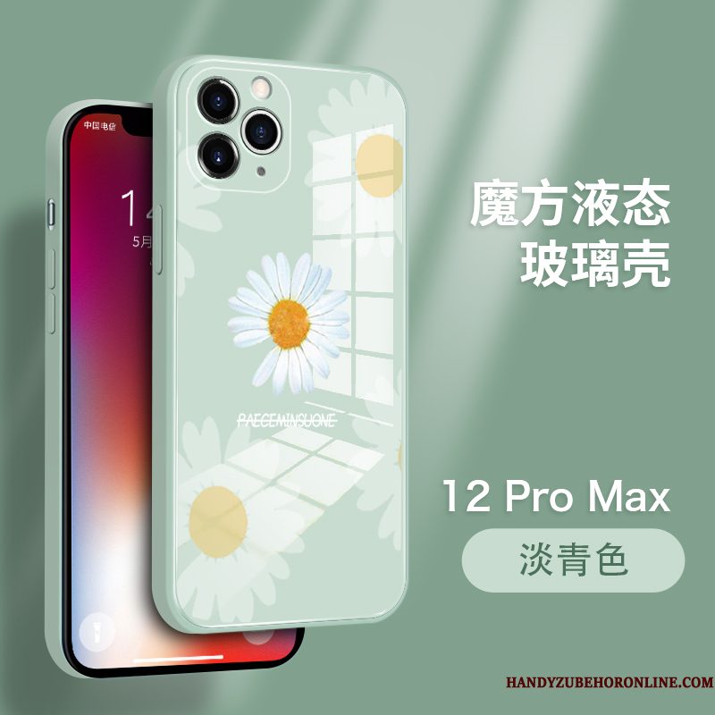 Hoesje iPhone 12 Pro Max Zakken Gehard Glas Nieuw, Hoes iPhone 12 Pro Max Bescherming High End Persoonlijk