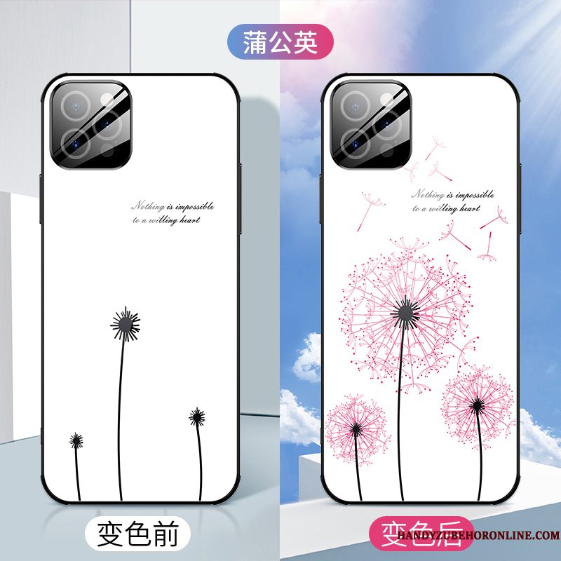 Hoesje iPhone 12 Pro Scheppend Persoonlijk Net Red, Hoes iPhone 12 Pro Zakken Anti-fall Dun