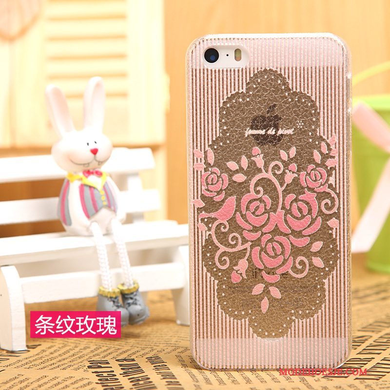 Hoesje iPhone 5/5s Bescherming Zwarttelefoon, Hoes iPhone 5/5s Leer Patroon Doorzichtig