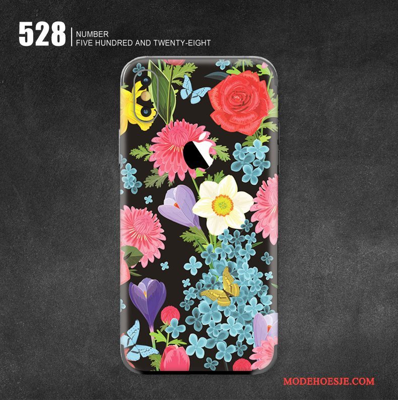 Hoesje iPhone X Kleur Skärmskydd Kunst, Hoes iPhone X Bescherming