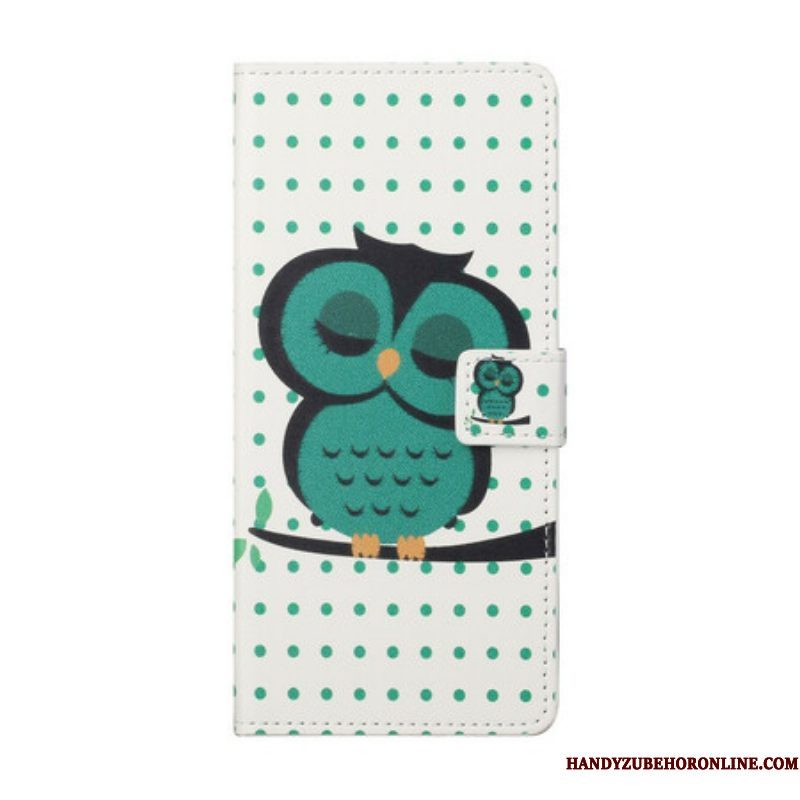 Flip Case voor iPhone 13 Pro Slapende Uil