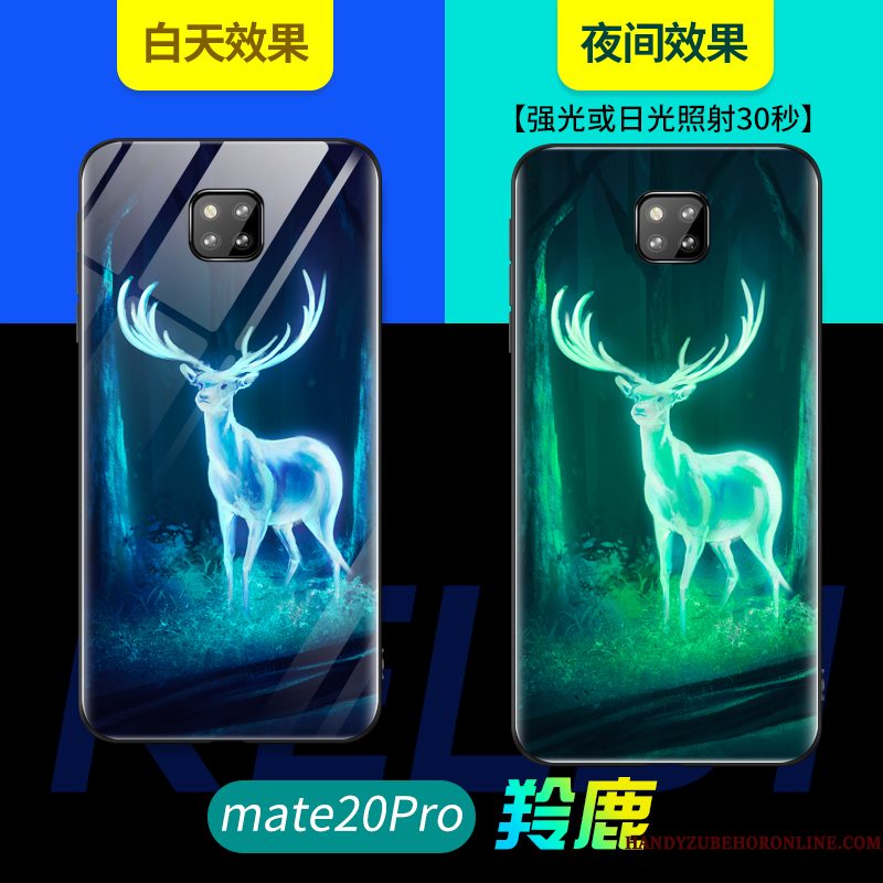 Hoesje Huawei Mate 20 Pro Bescherming Lichtende Persoonlijk, Hoes Huawei Mate 20 Pro Zacht Glastelefoon