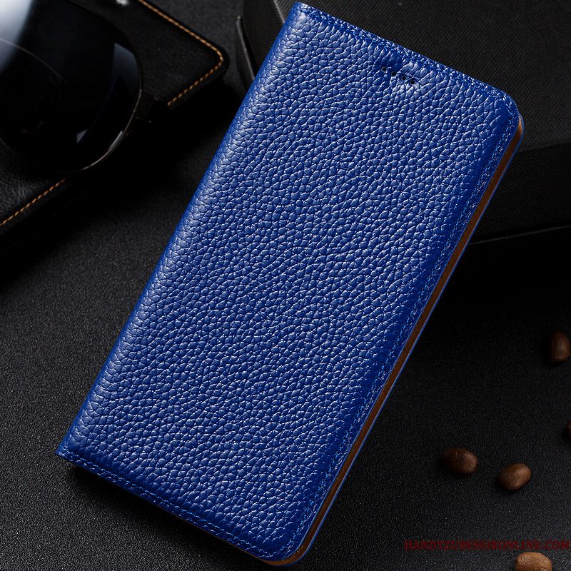 Hoesje Samsung Galaxy A40 Zakken Soort Aziatische Vrucht Blauw, Hoes Samsung Galaxy A40 Folio Patroon Anti-fall