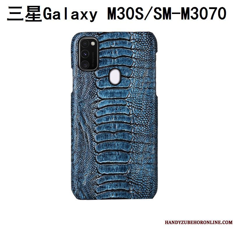 Hoesje Samsung Galaxy M30s Bescherming Achterklep Anti-fall, Hoes Samsung Galaxy M30s Mode Vogeltelefoon