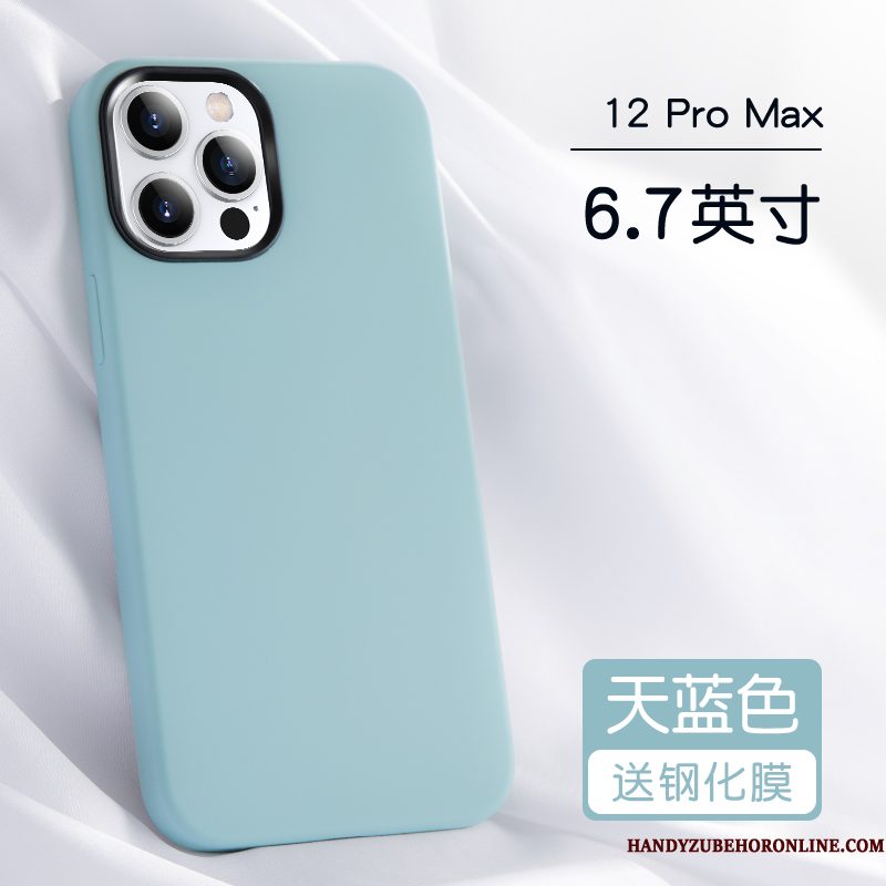 Hoesje iPhone 12 Pro Max Zakken Anti-fall Persoonlijk, Hoes iPhone 12 Pro Max Bescherming Net Red Blauw