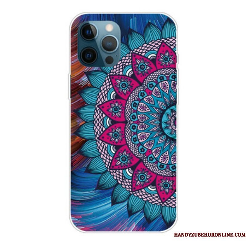 Hoesje voor iPhone 13 Pro Max Kleurrijke Mandala