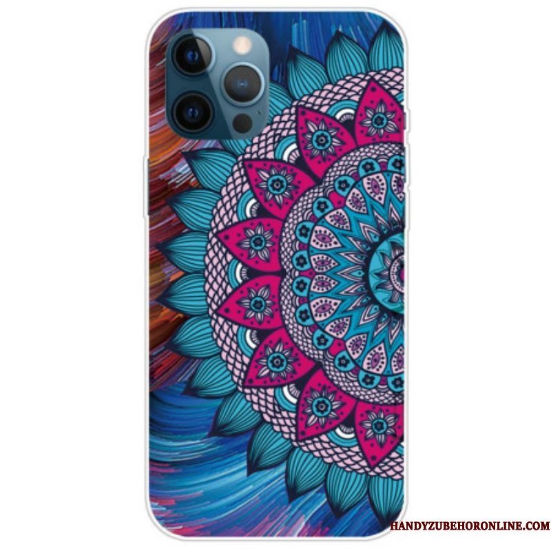 Hoesje voor iPhone 14 Pro Kleurrijke Mandala